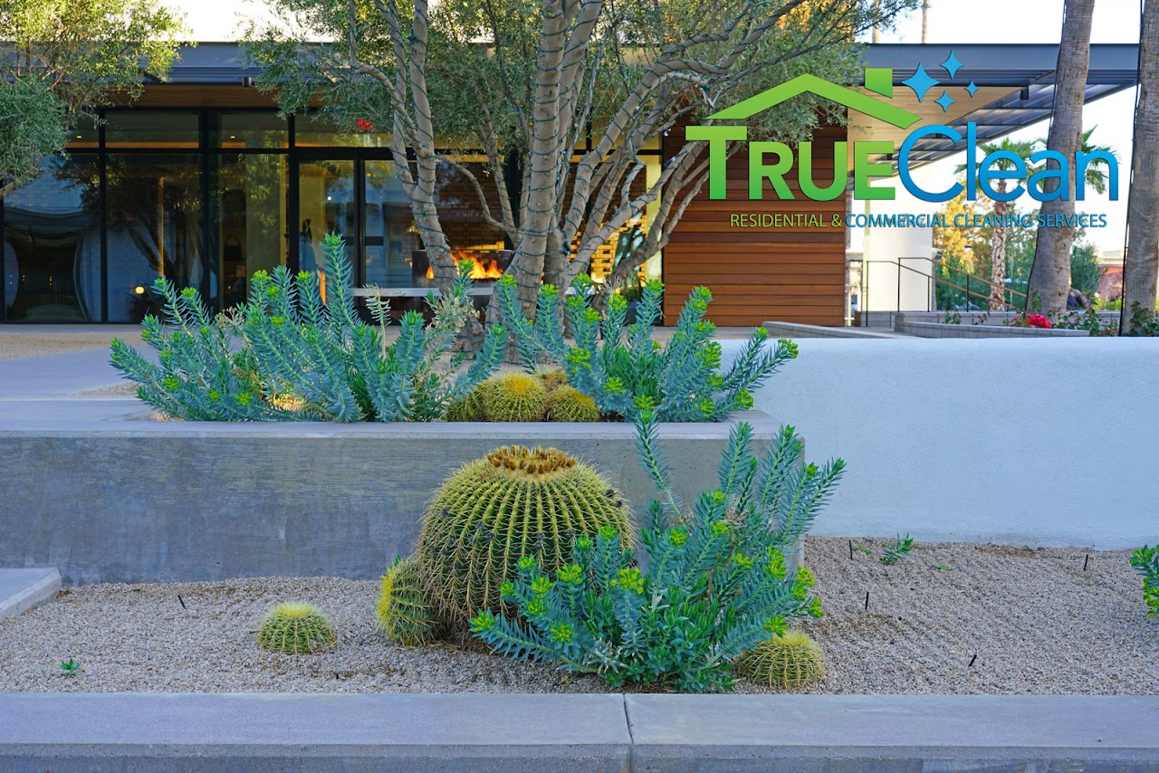 TrueClean project