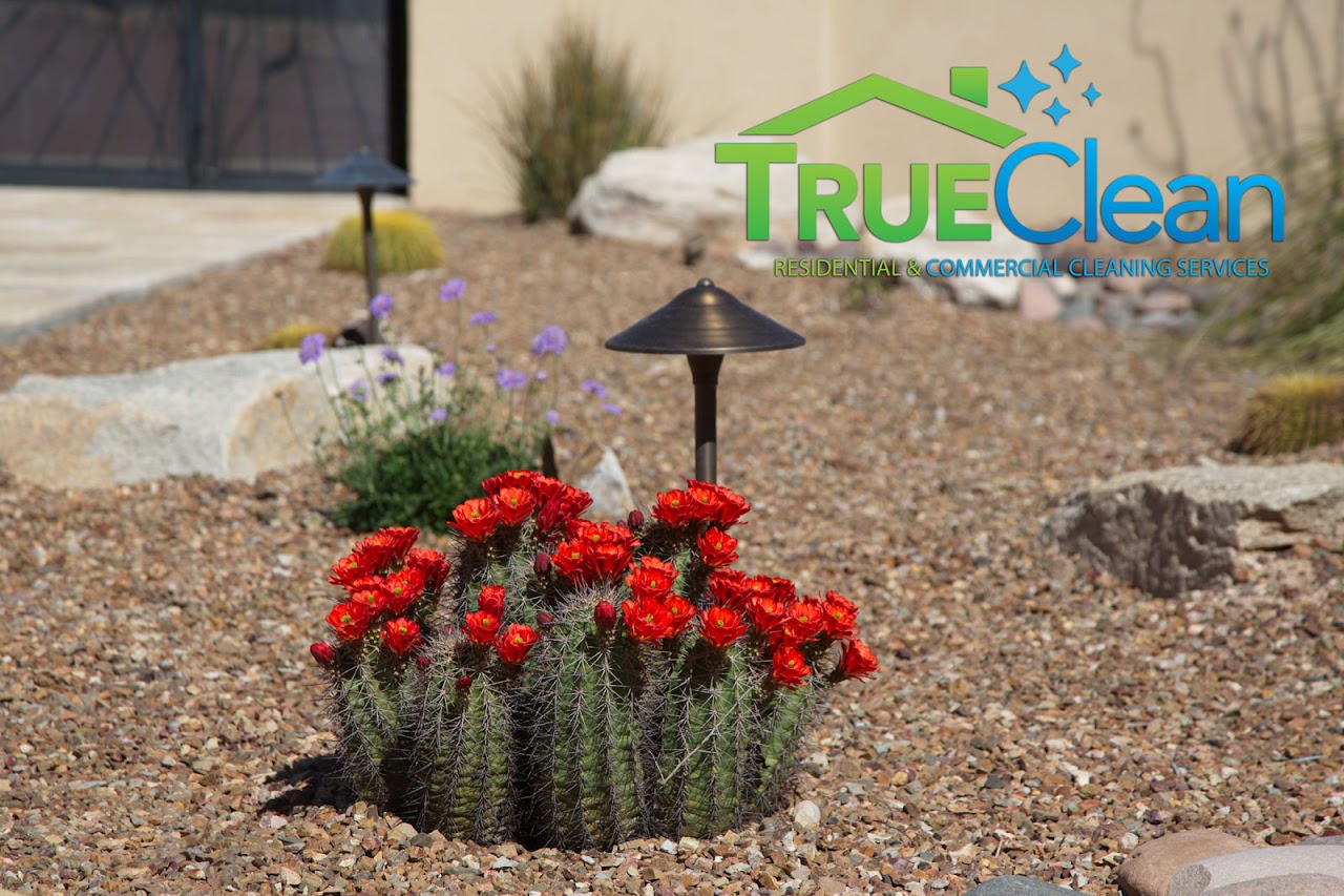 TrueClean project